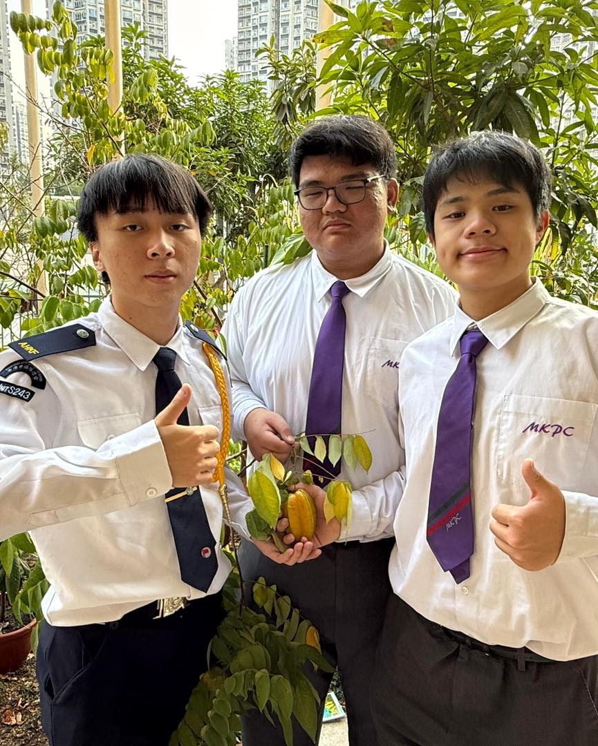 MKPC Greenovators planting activities（Carambola tree）