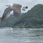 IMG_7280 - Yuet Au yeung