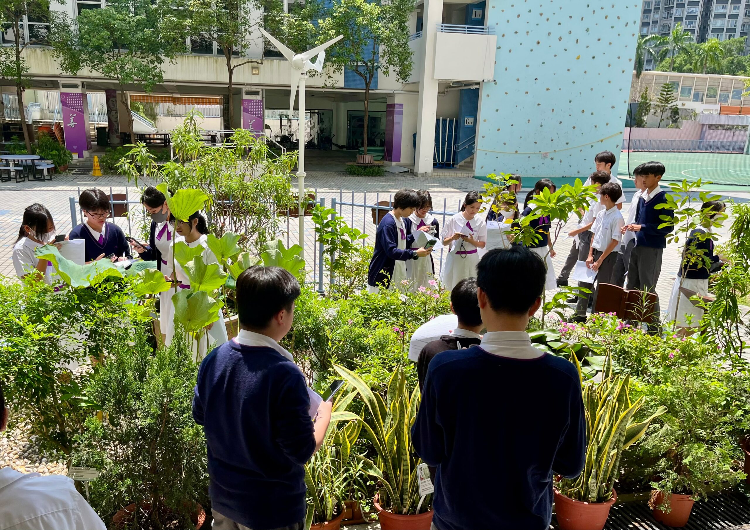 Authentic Learning@Tranquil Energy Garden